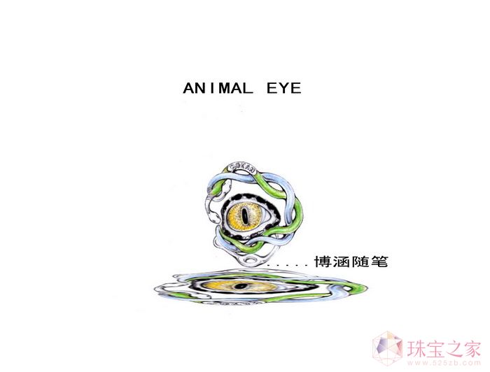 Animal eye