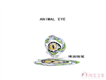 Animal eye