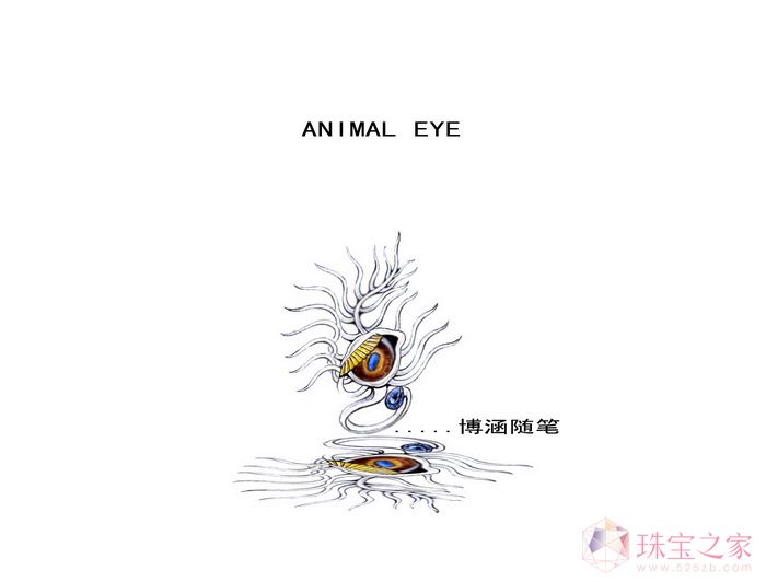 Animal eye